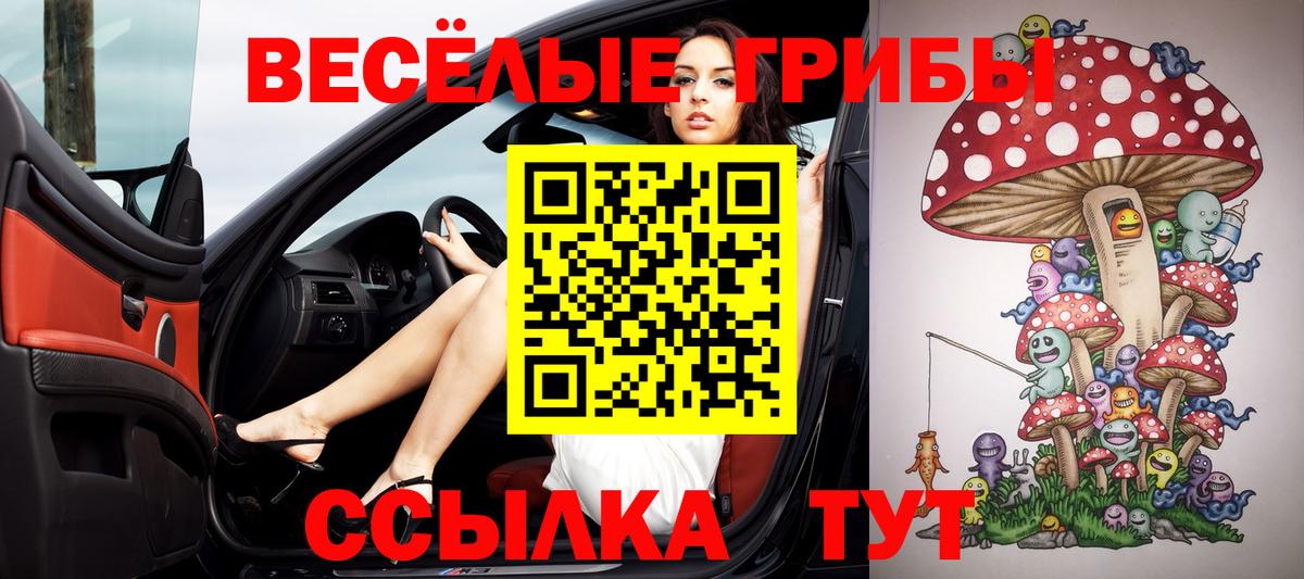 Братск  Галлюциногенные грибы GOLDEN TEACHER  Вход с VPN 
